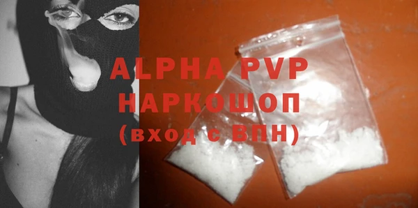 индика Алексин