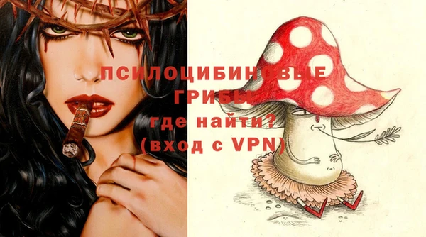 дмт Алзамай