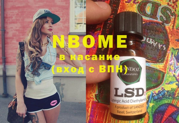 индика Алексин