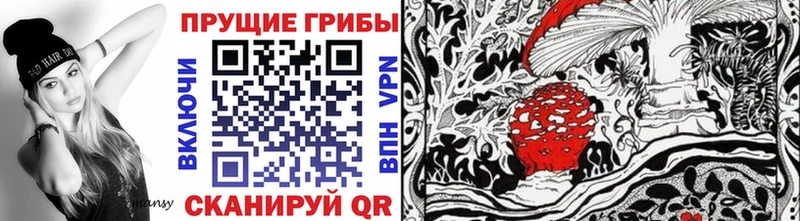 Псилоцибиновые грибы Cubensis  Курчатов 