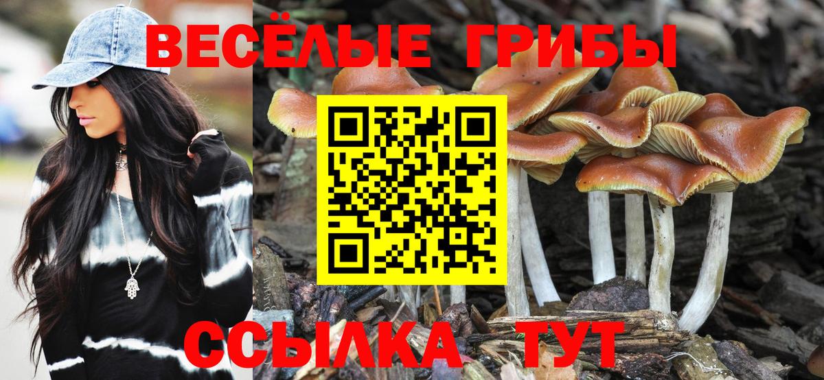 Псилоцибиновые грибы ЛСД  Вход с VPN  Курчатов  Галлюциногенные грибы Psilocybine cubensis 