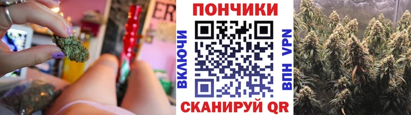 Конопля ГИДРОПОН Курчатов